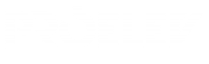 b1